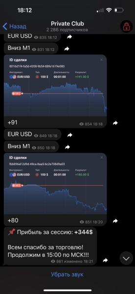 Бинарная Экспертиза