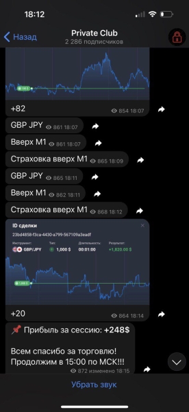 Бинарная Экспертиза