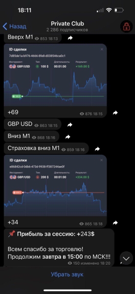 Бинарная Экспертиза