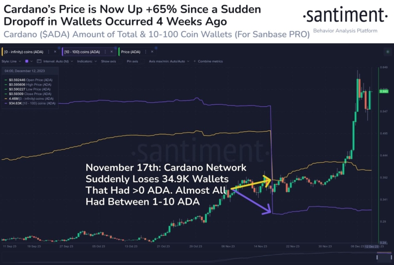 Киты отказываются продавать Cardano   