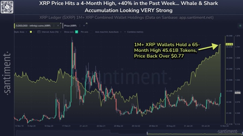 XRP-киты накопили еще 3,44 млрд токенов | Этот рост крупномасштабного накопления свидетельствует о сильной уверенности в потенциале XRP