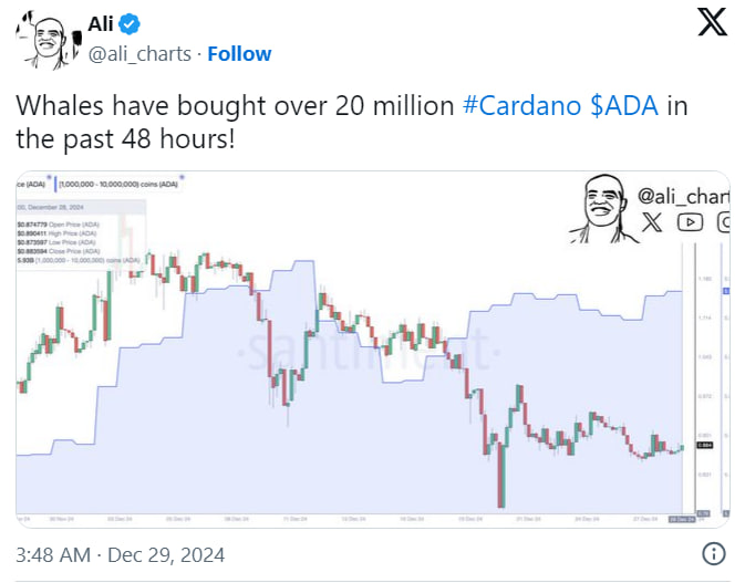 Cardano: поднимется ли цена ADA до $1,50 или упадет к $0,70?