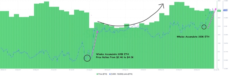 Ethereum-киты скупили $1 млрд ETH, сигнал к росту?